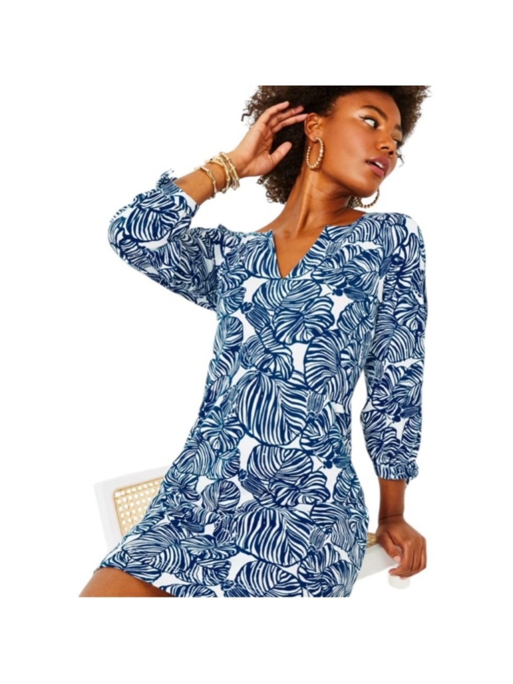 Lilly Pulitzer Blue and White Long Sleeve Shift Dress